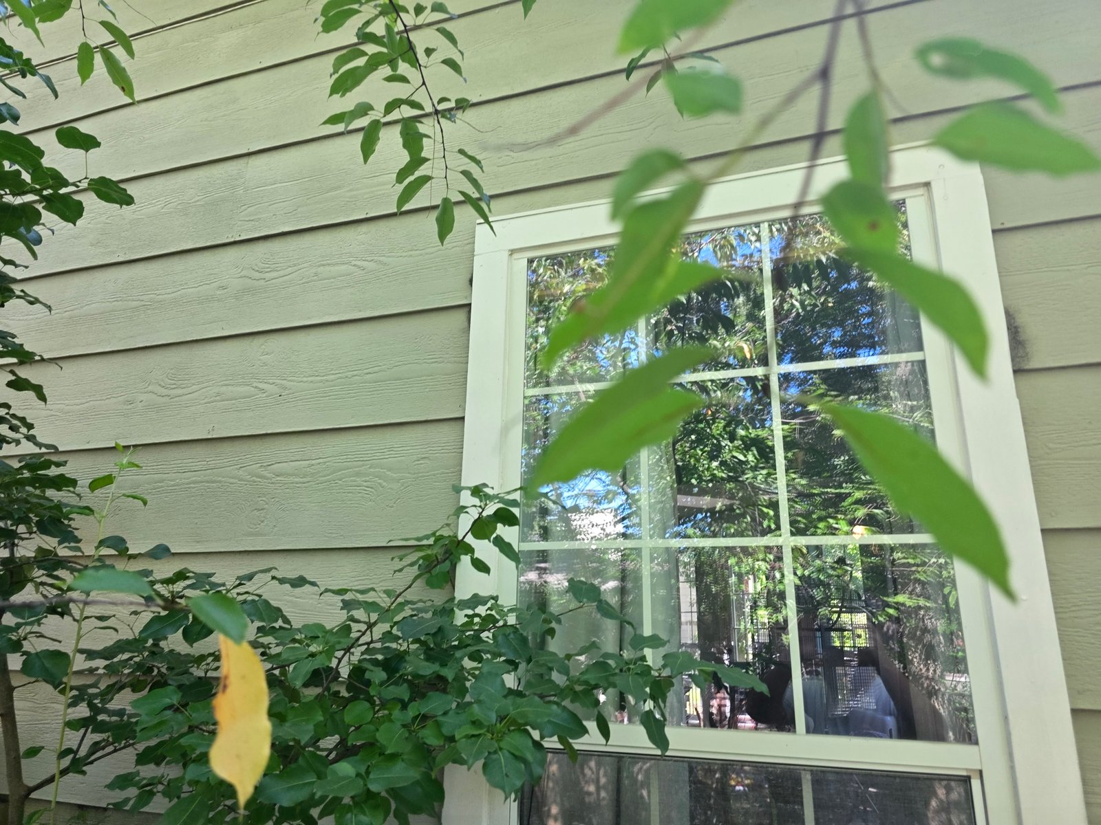 Siding installation project gallery - Project 115 - Image 9